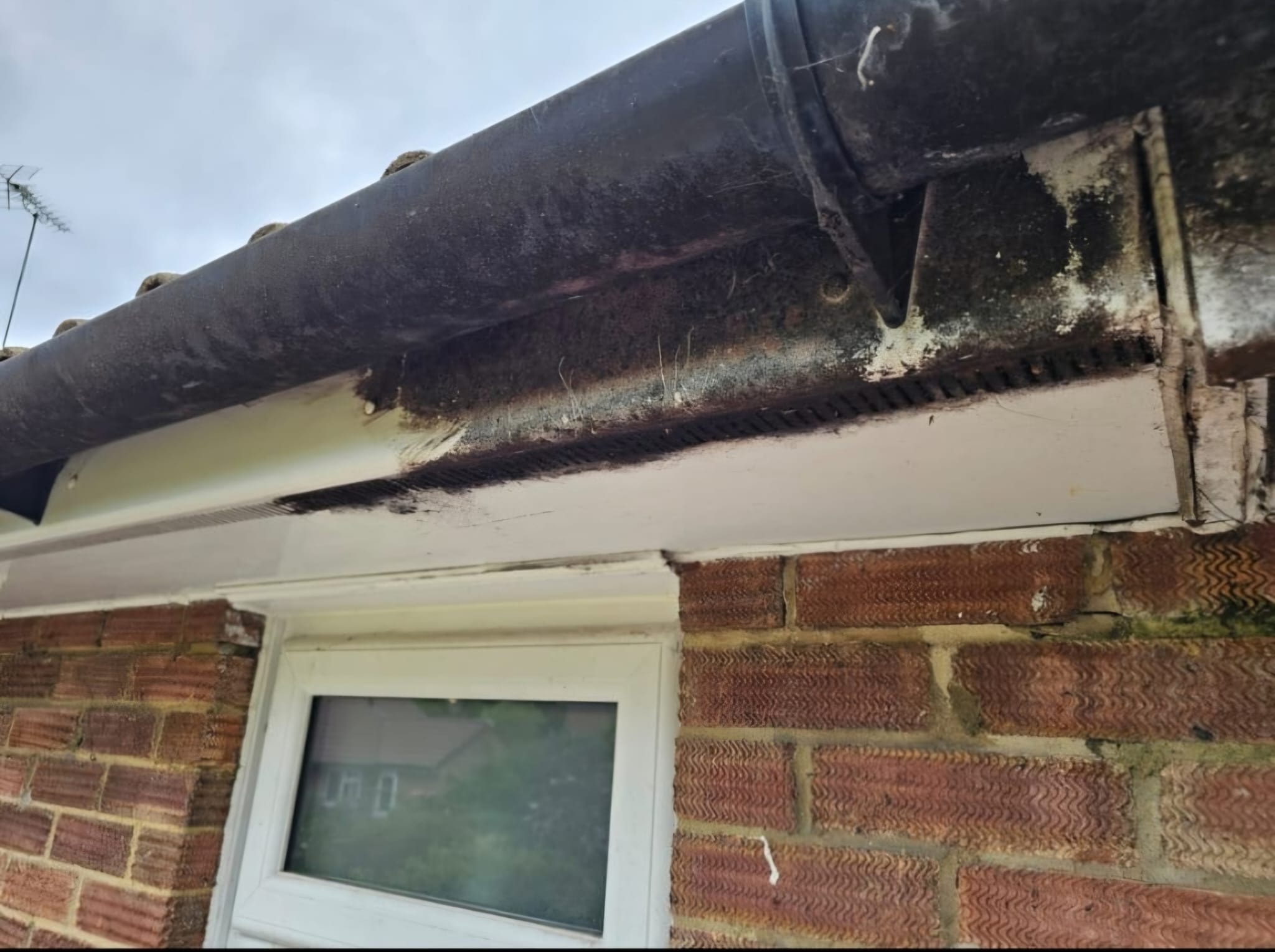 Old rusted guttering and deteriorated fascia — before replacement