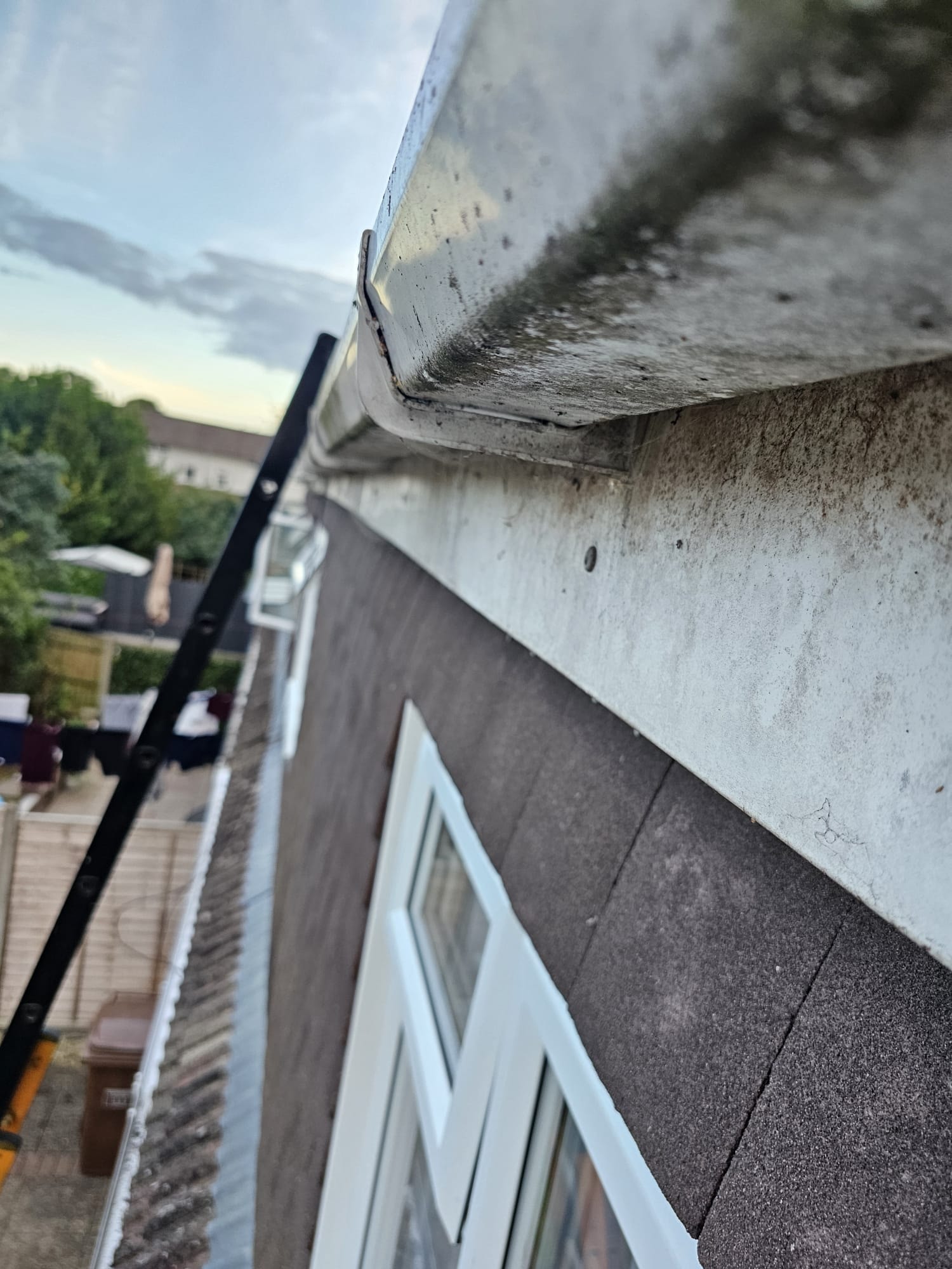 Old concrete soffit with black algae and failed guttering — before replacement